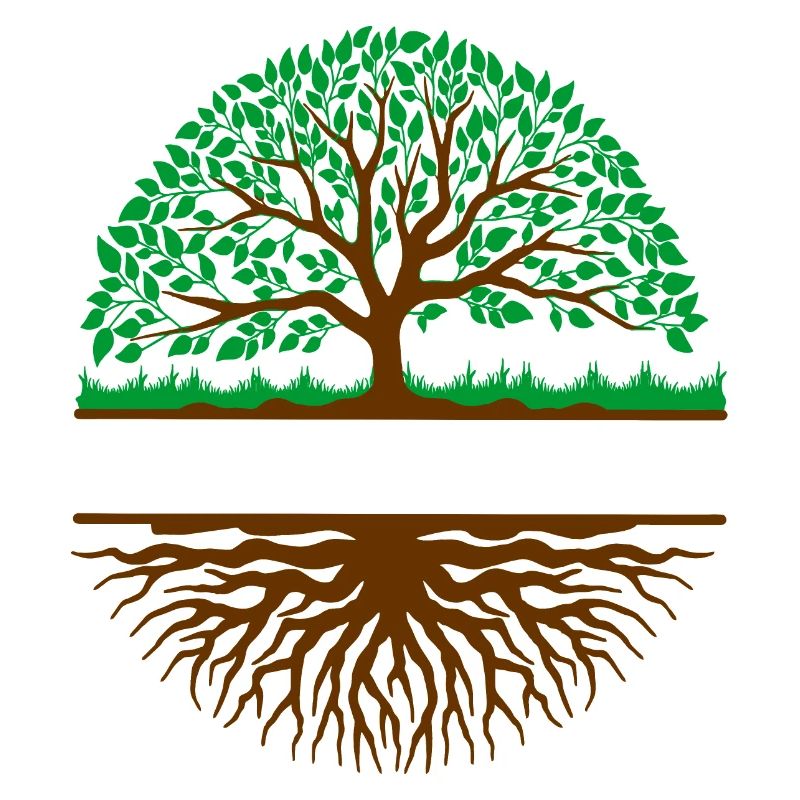 Tree with roots banner 3