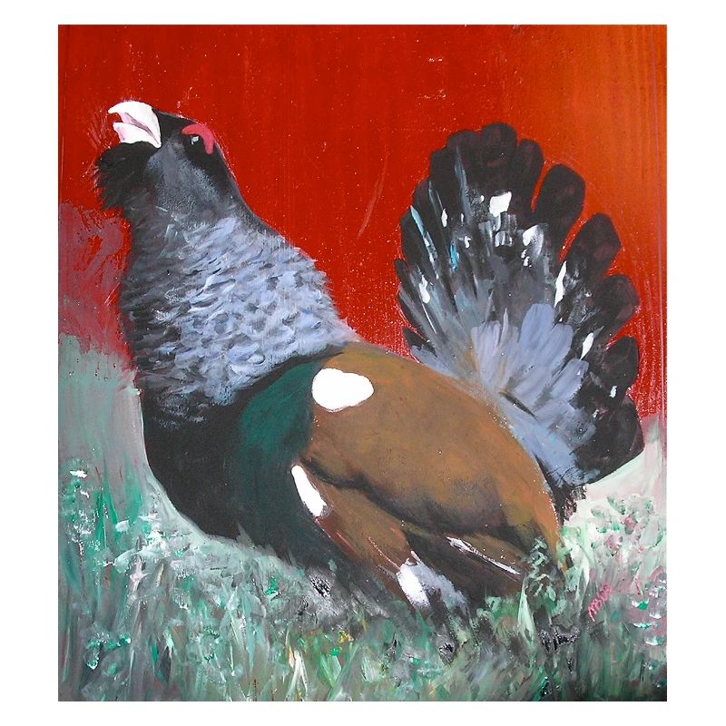 Red background pheasant in nature