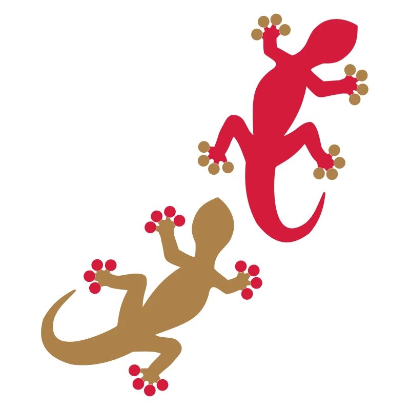 Deux geckos 2c