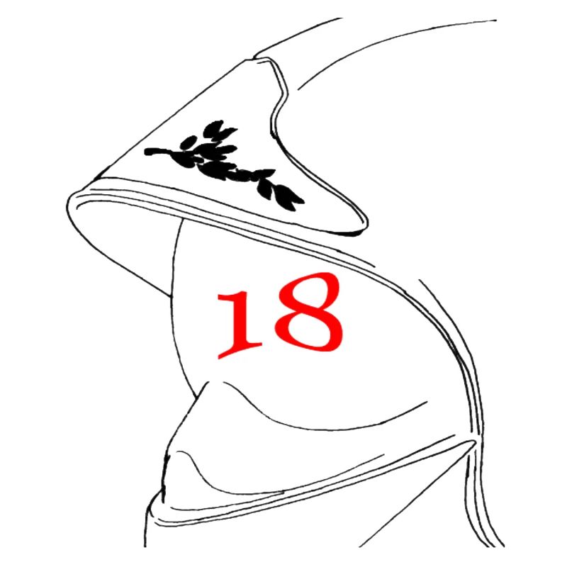 Headphone 18