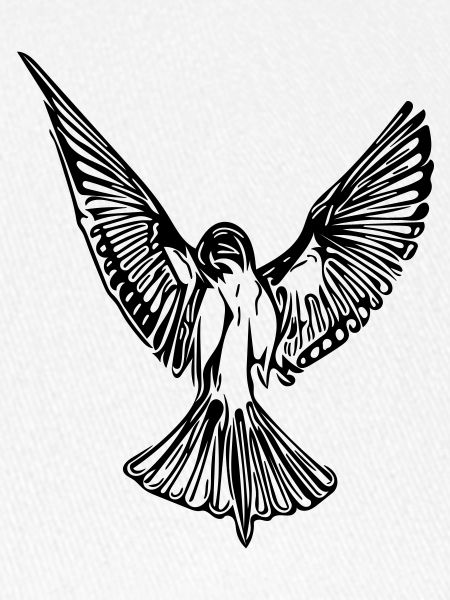 Vogel