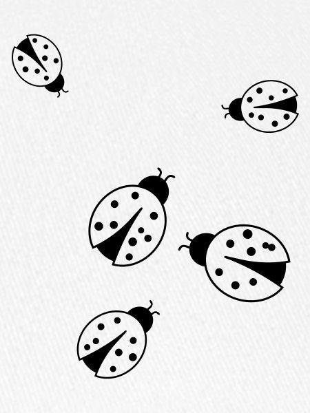 coccinelle_ce2