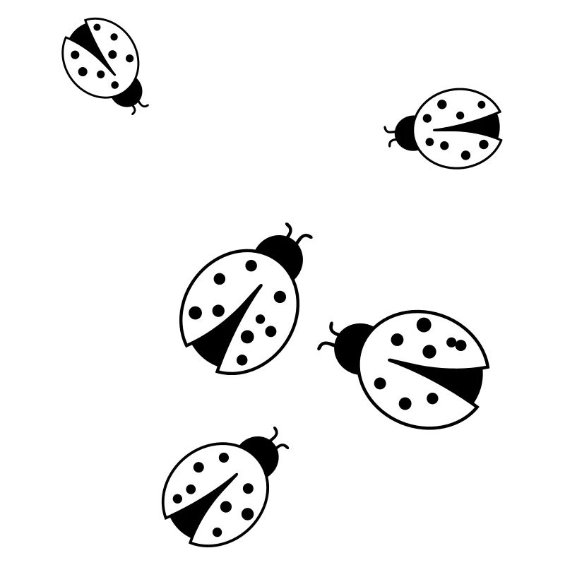 ladybug_ce2