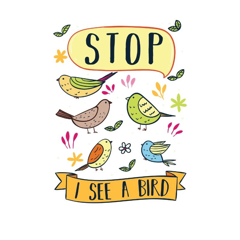 Bird Watching