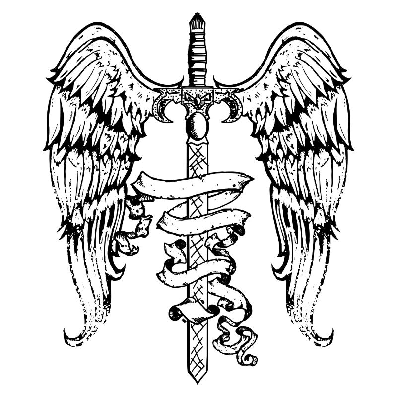 Mystic Sword Wings