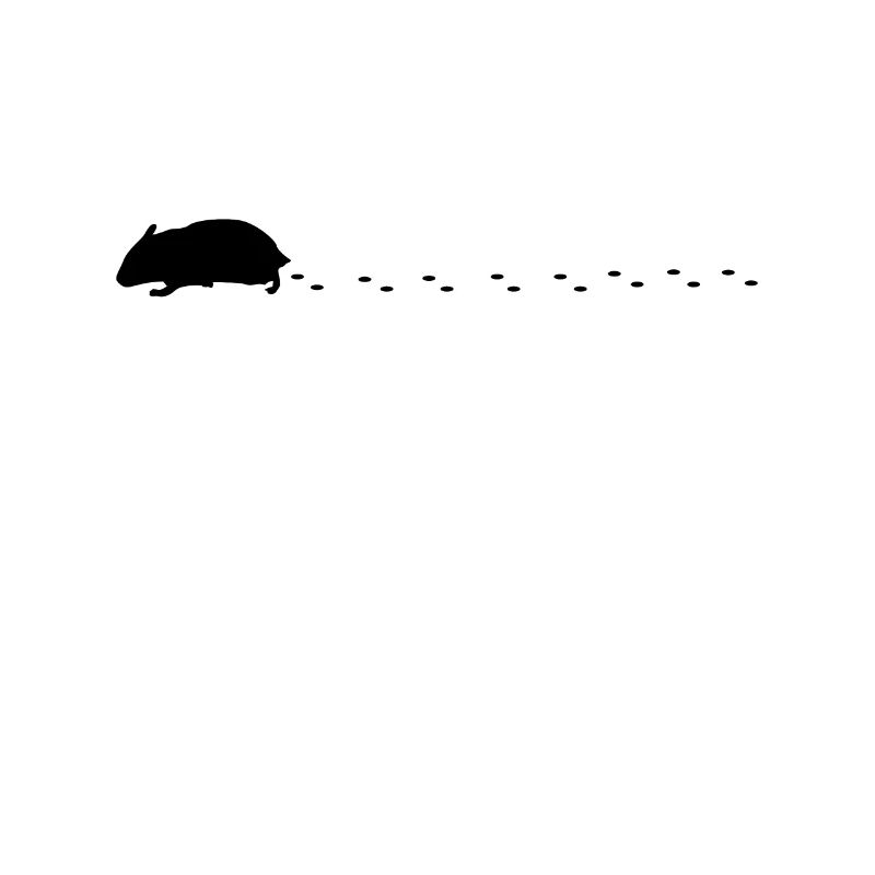 Traces de hamster