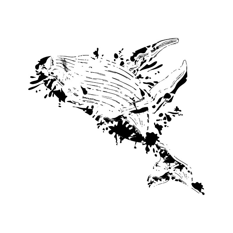 Humpback whale cool