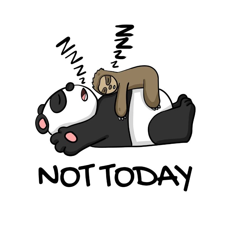 Sloth and panda