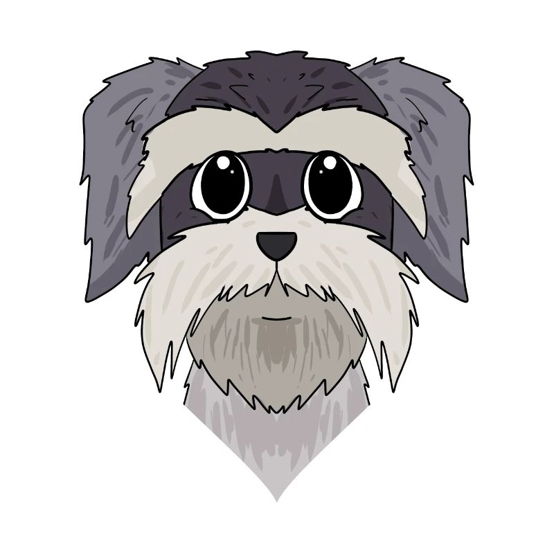 Museau - Schnauzer miniature