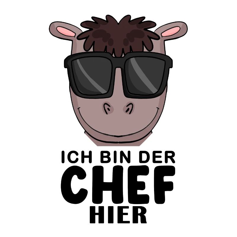 Cool Pferd Chef Spruch