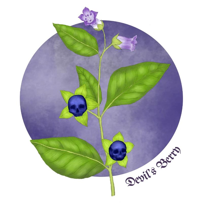 Teufelsbeere
