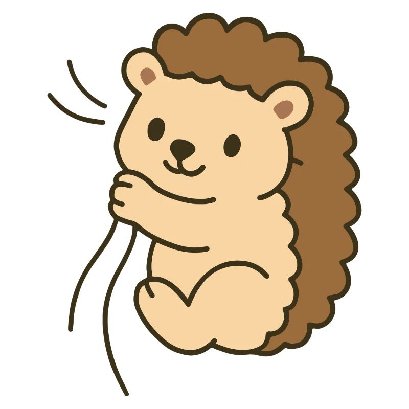 Bébé hérisson câlin