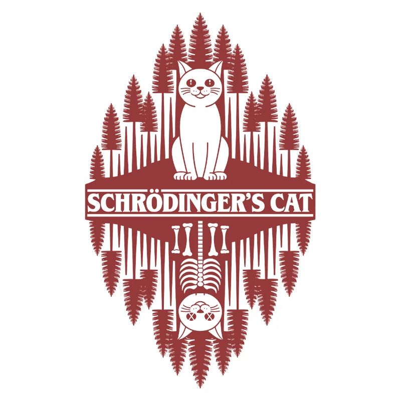 Le chat de Schroedinger : une chose étrange