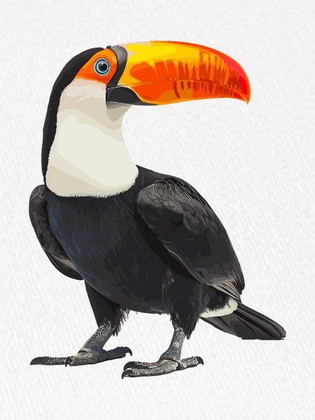 Tukane Tukan