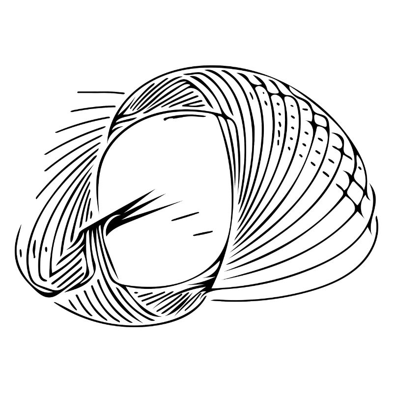 Geometric circle lines