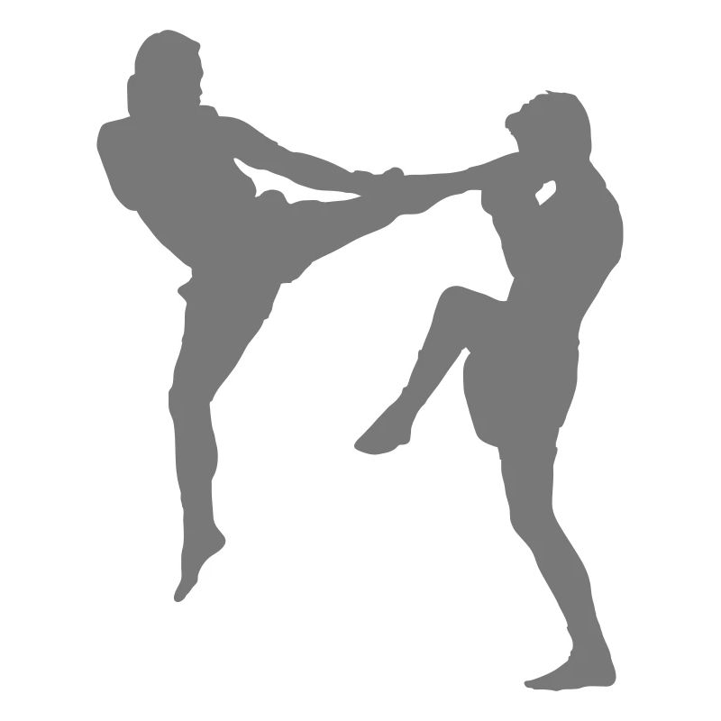 fighter