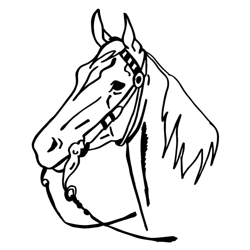 cheval western