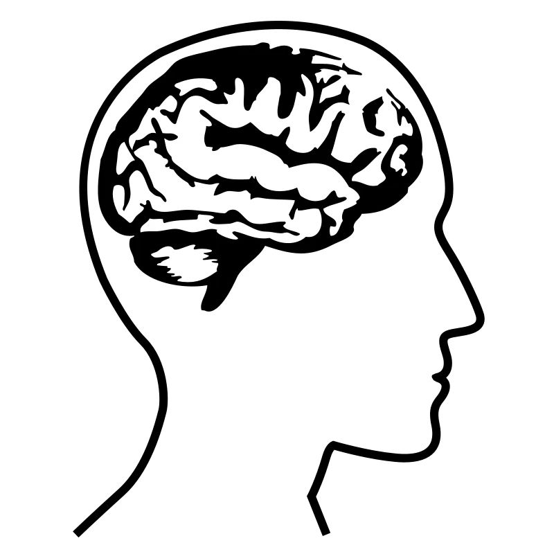 brain_head___f1