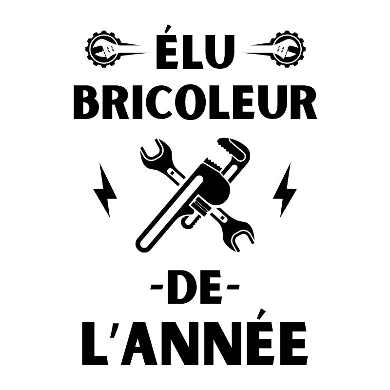 élu bricoleur de l année 2