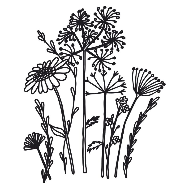 Fleurs séchées noires