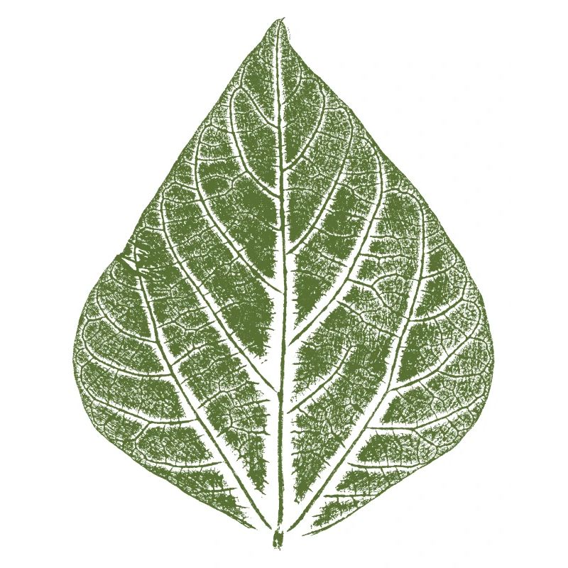 Leaf Bean