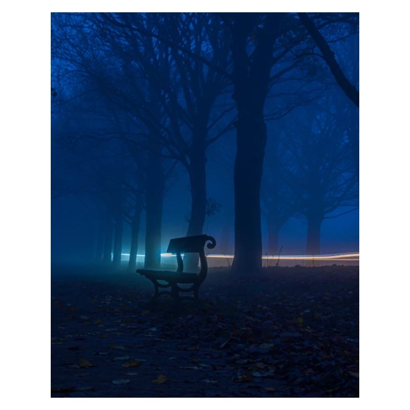 Banc solitaire dans le parc brumeux