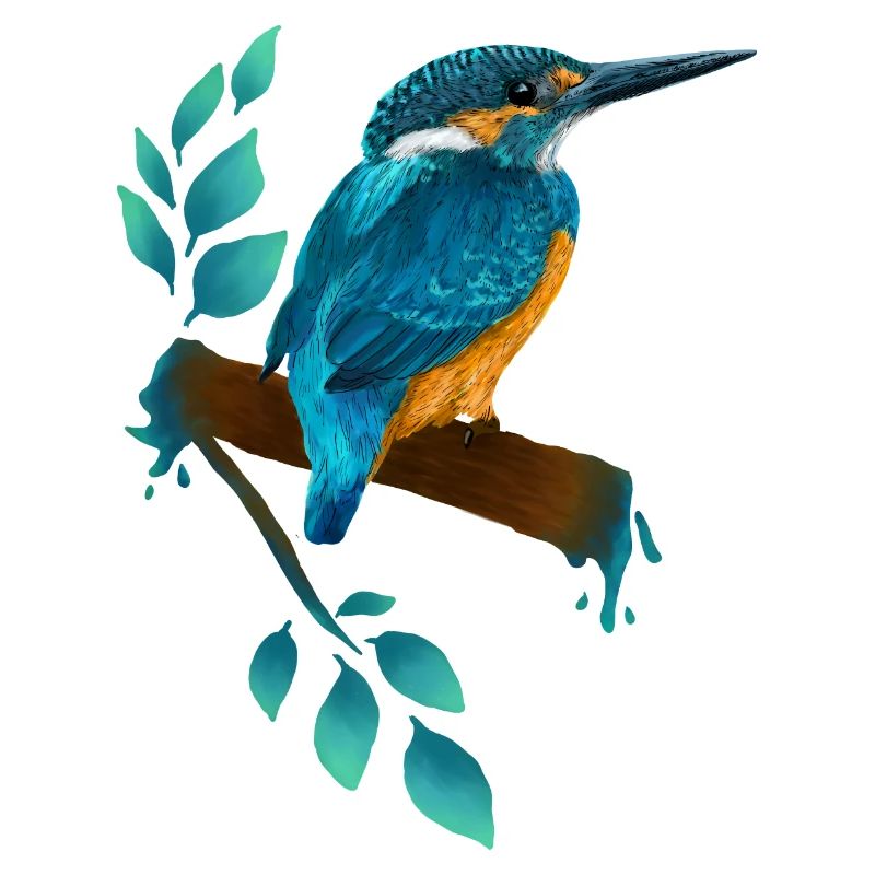 Eisvogel