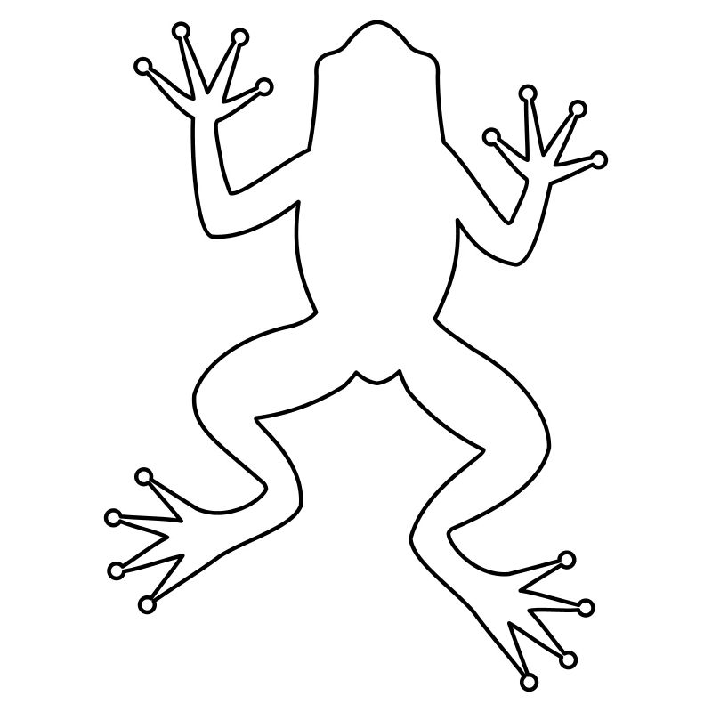 Frog toad tree frog silhouette