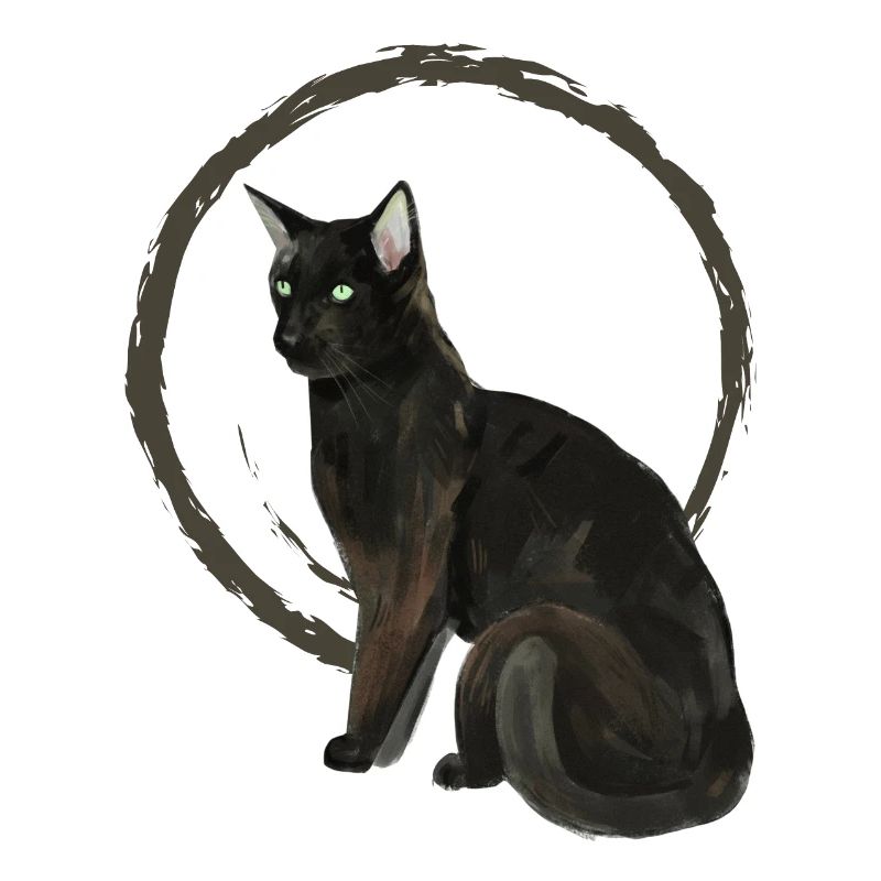 Schwarze Katze Nelson 2