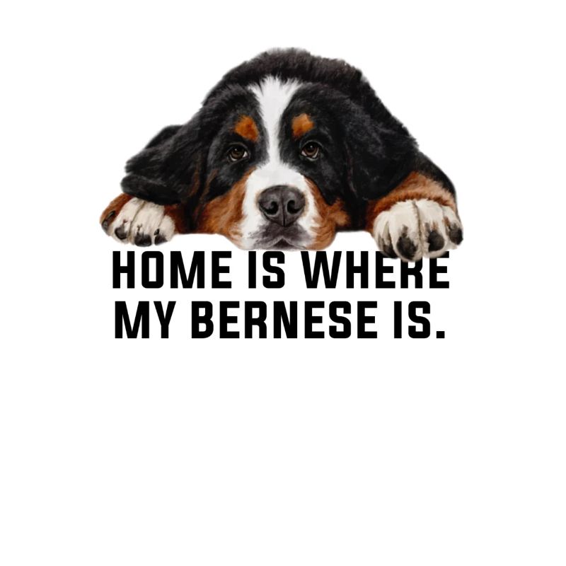 Bouvier bernois