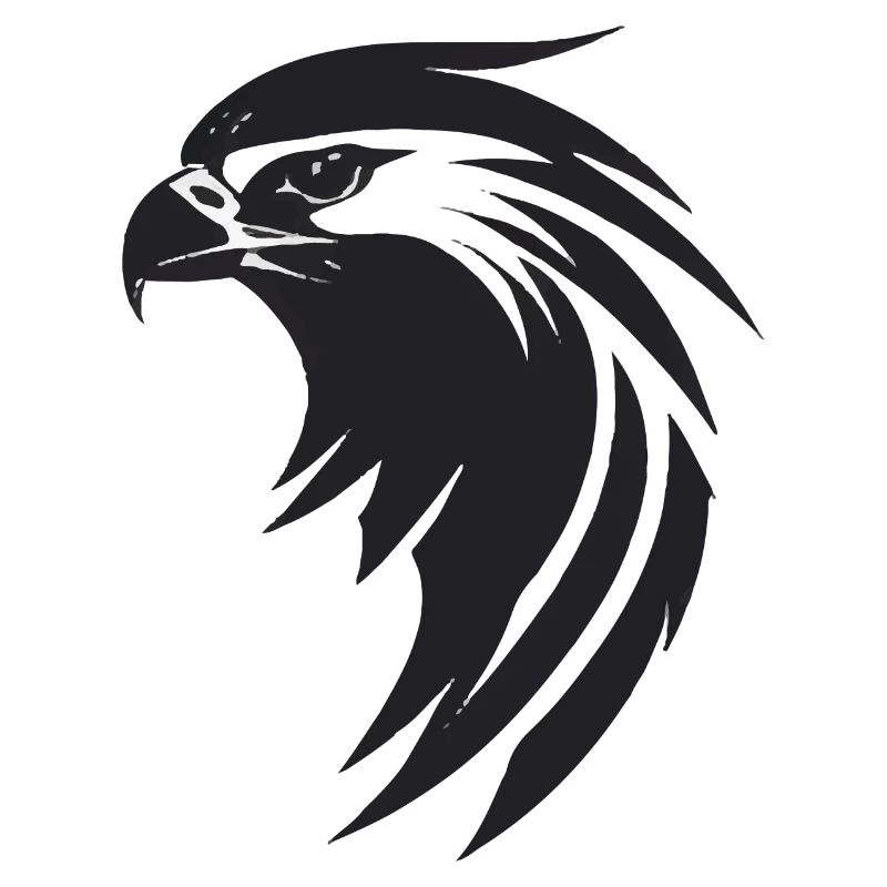 Adler Greifvogel Kopf