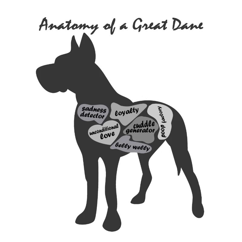 ANATOMIE EINER DEUTSCHEN DOGGE