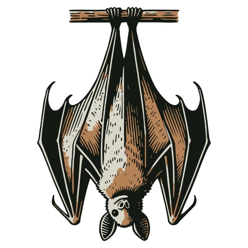 Bat