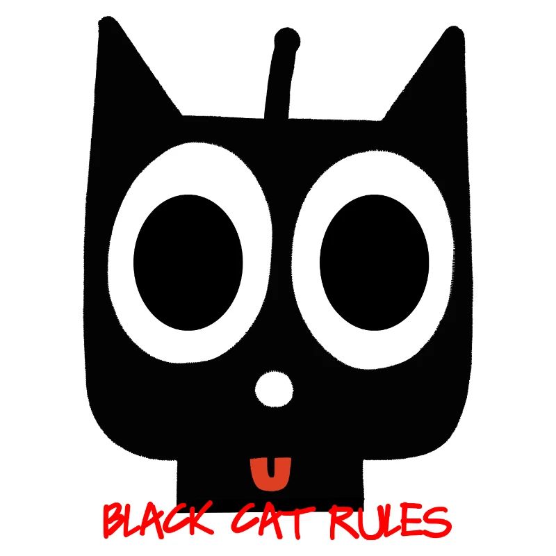 chat noir