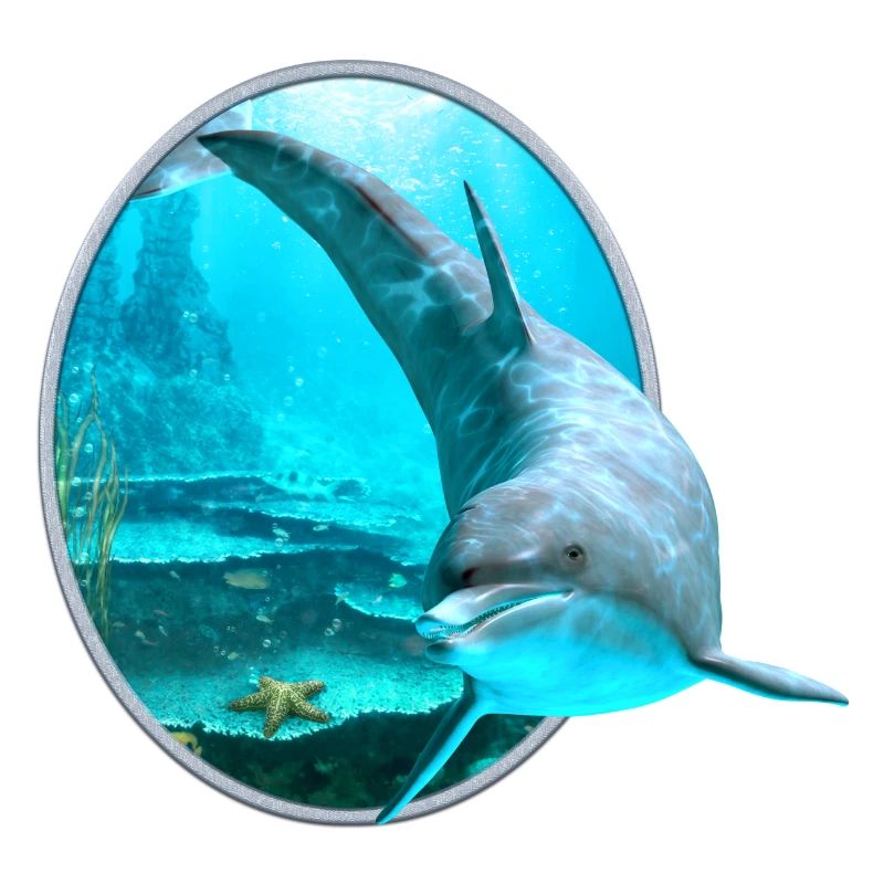 Dolphin