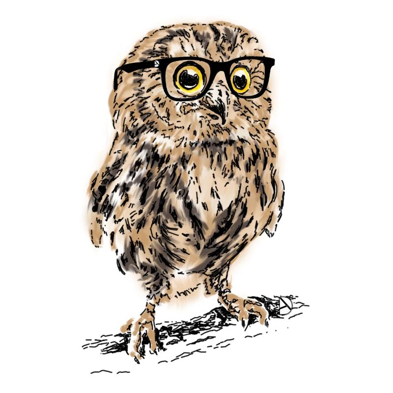 AD Owl