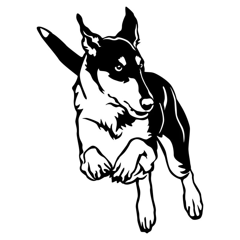 Collie