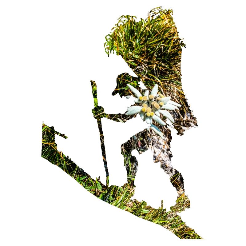 Bring me another Edelweiss!