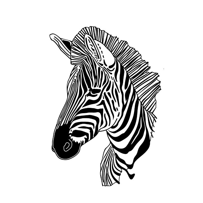 Lignes art zèbre #zebra