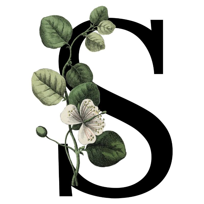 Grüner botanischer Buchstabe S