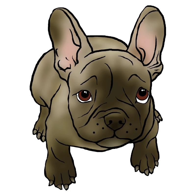 Chiot bouledogue français dans le style BD