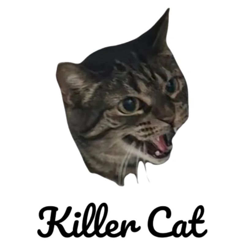 Killer Cat