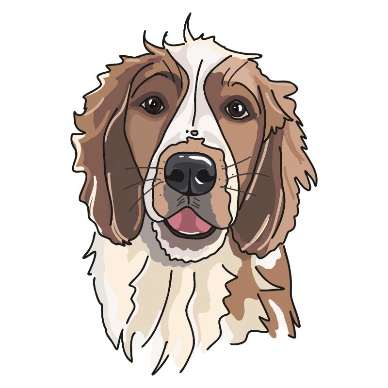 Welsh Springer Spaniel