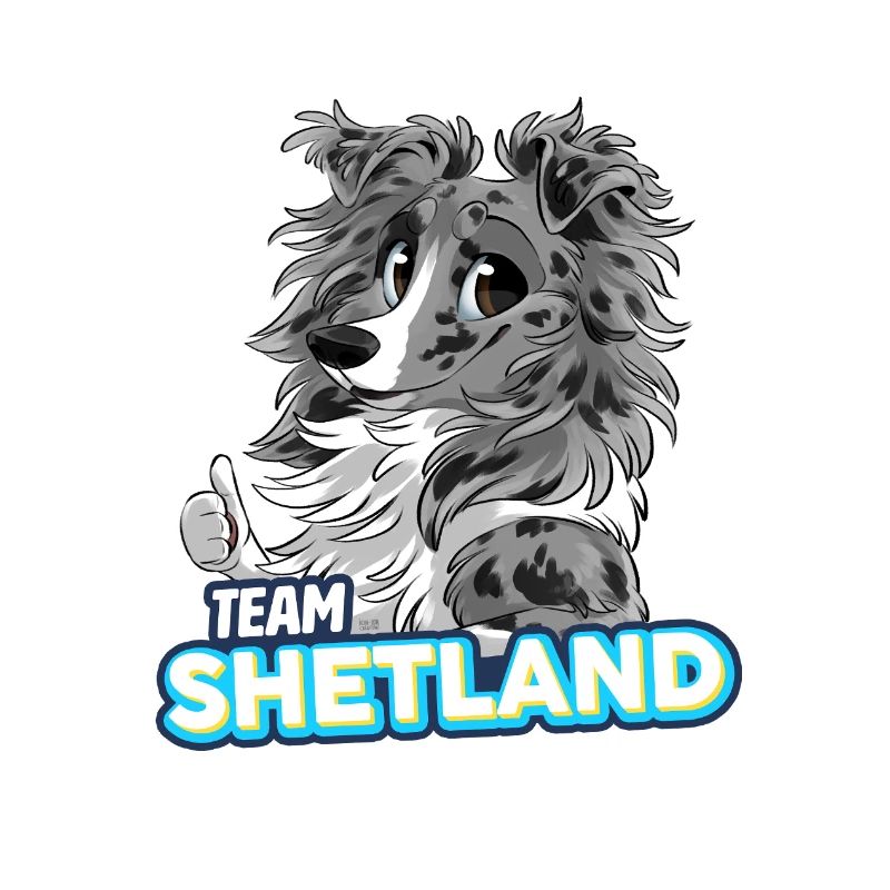 TEAM Shetland - Bleu Merle