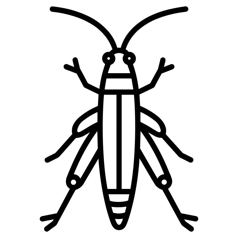 grasshopper
