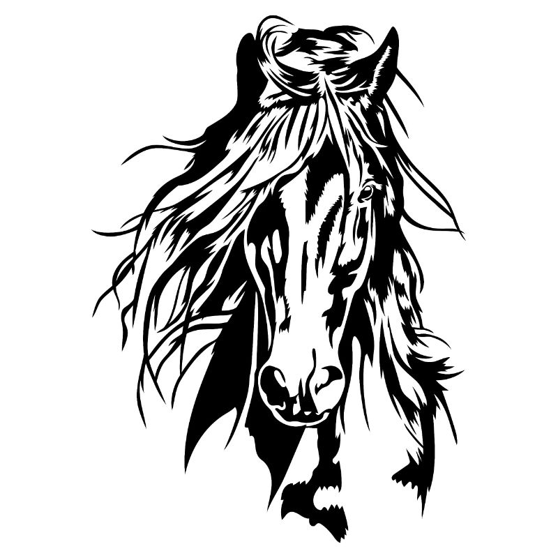 CHEVAL Portrait Chevaux Cavalier Wilsigns