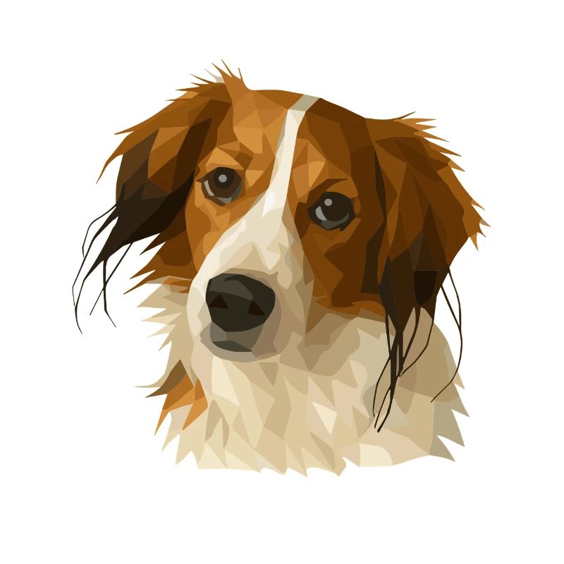 Kooikerhondje en style polygone