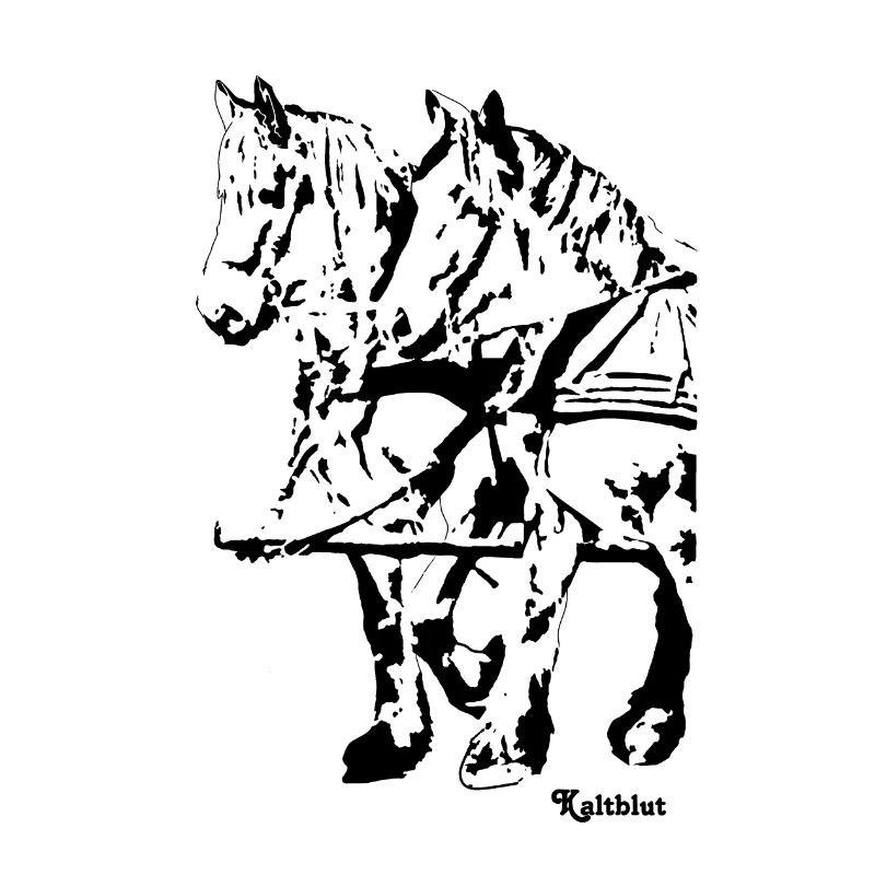 gespann11