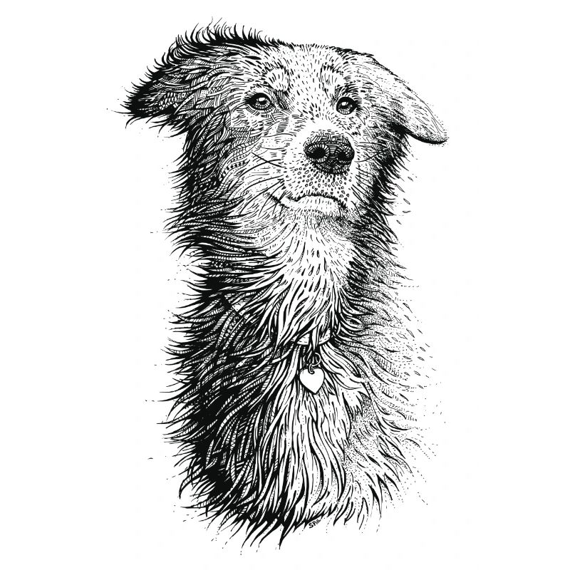 Love Dog