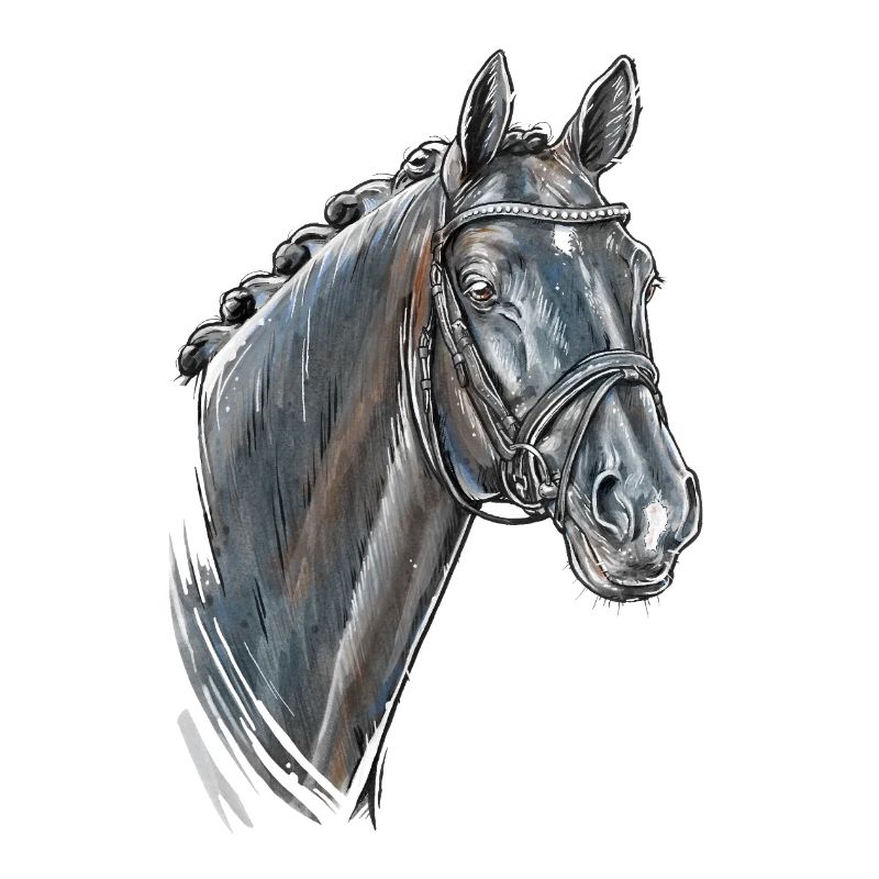 Portrait de cheval Totilas